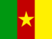 Cameroon Flag